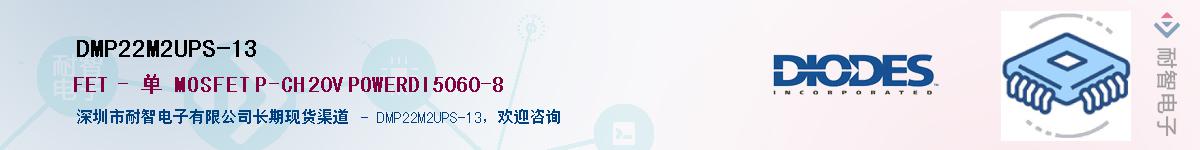 DMP22M2UPS-13����(y��ng)��-�������