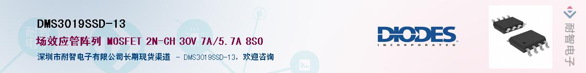 DMS3019SSD-13����(y��ng)��-�������