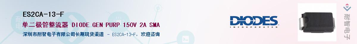 ES2CA-13-F������-�������