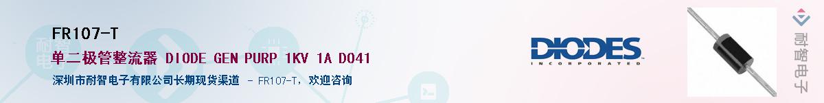 FR107-T������-�������