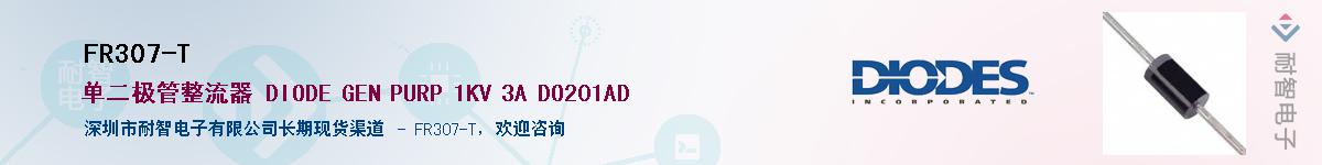 FR307-T������-�������