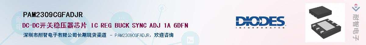 PAM2309CGFADJR������-�������