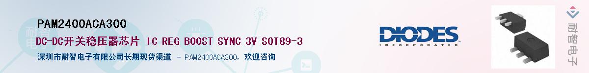 PAM2400ACA300����(y��ng)��-�������