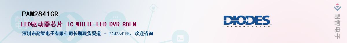 PAM2841GR����(y��ng)��-�������