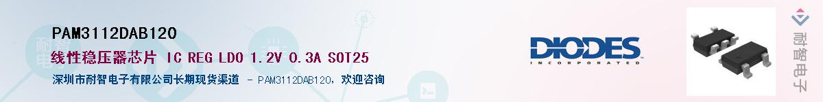 PAM3112DAB120������-�������