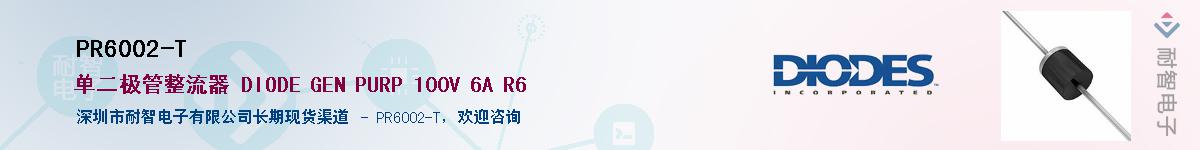 PR6002-T������-�������