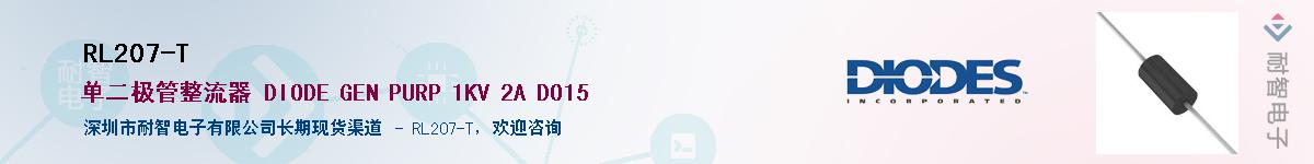 RL207-T������-�������