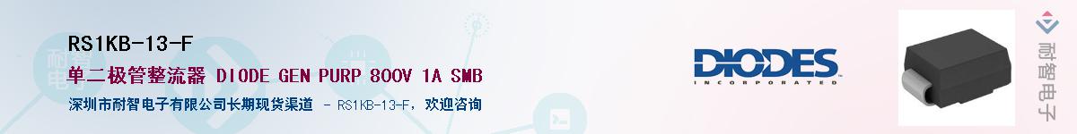 RS1KB-13-F������-�������