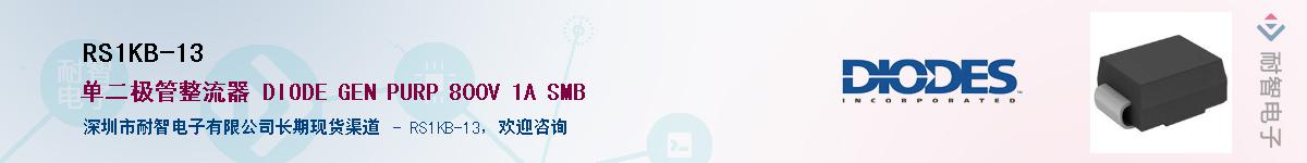 RS1KB-13������-�������