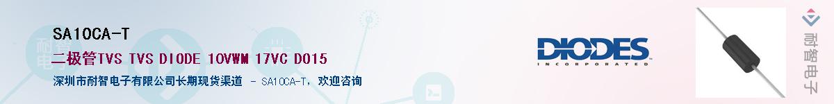 SA10CA-T������-�������