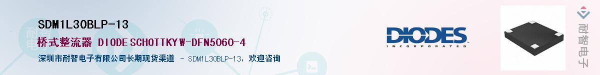 SDM1L30BLP-13������-�������