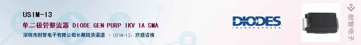 US1M-13������-�������