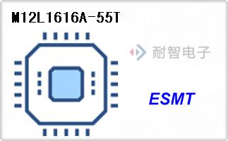 M12L1616A-55T
