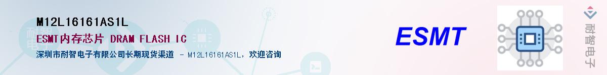 M12L16161AS1L����(y��ng)��-�������