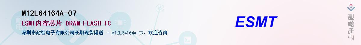 M12L64164A-07������-�������