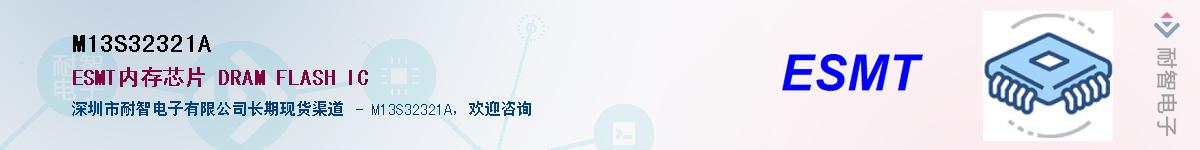 M13S32321A������-�������