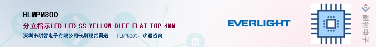 HLMPM300������-�������