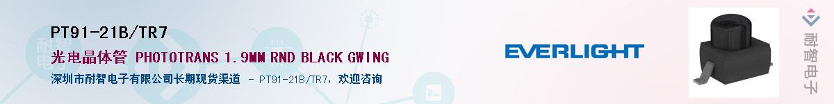 PT91-21B/TR7������-�������