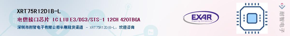 XRT75R12DIB-L������-�������