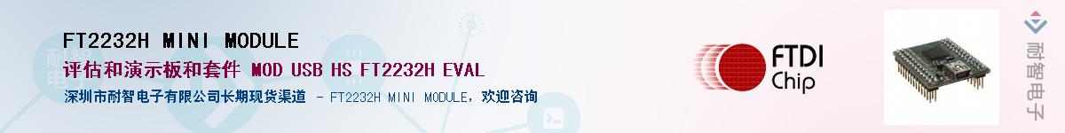 FT2232H MINI MODULE������-�������