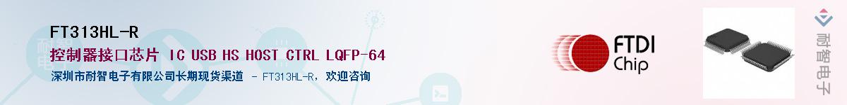 FT313HL-R������-�������