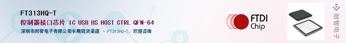 FT313HQ-T������-�������