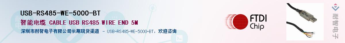USB-RS485-WE-5000-BT������-�������