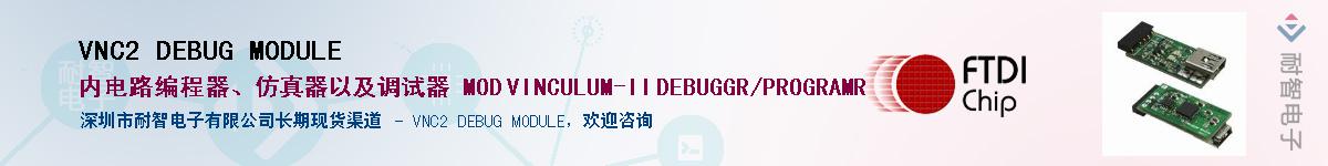 VNC2 DEBUG MODULE������-�������