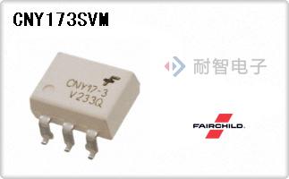 CNY173SVM