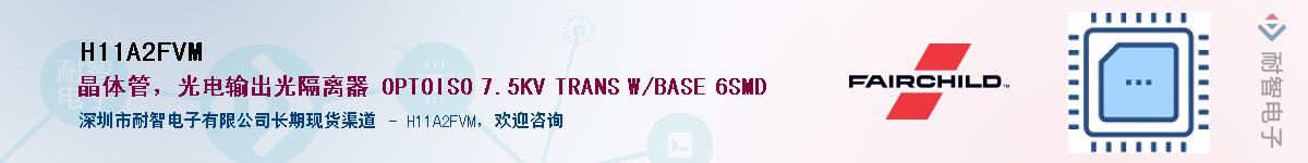 H11A2FVM������-�������