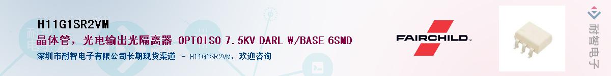 H11G1SR2VM������-�������