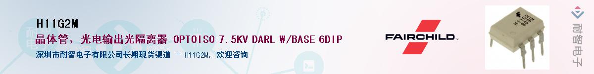 H11G2M������-�������