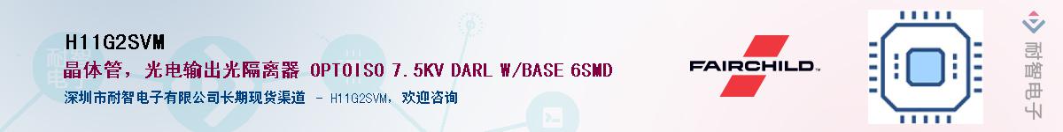 H11G2SVM������-�������