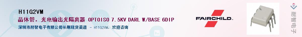 H11G2VM������-�������