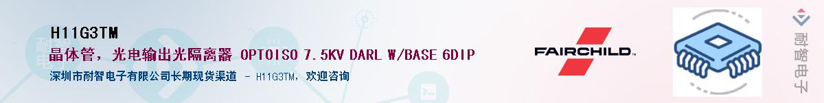 H11G3TM������-�������