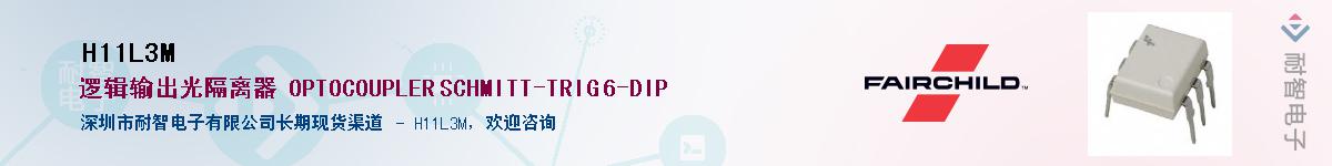 H11L3M������-�������