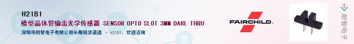 H21B1������-�������