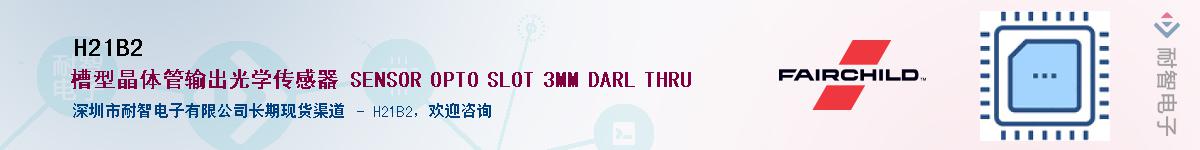 H21B2������-�������