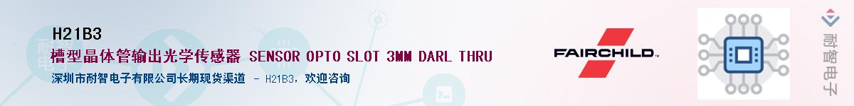 H21B3������-�������