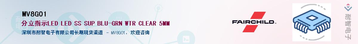 MV8G01������-�������