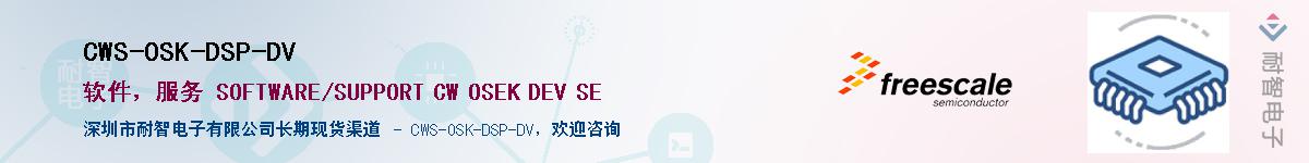 CWS-OSK-DSP-DV������-�������