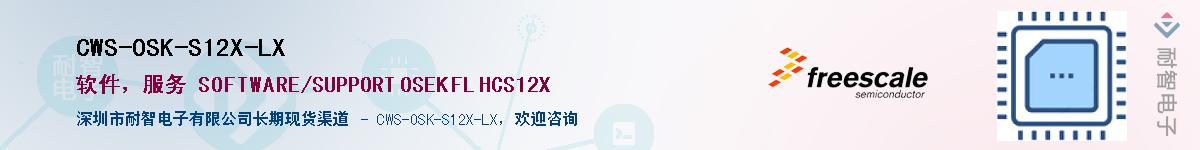 CWS-OSK-S12X-LX������-�������