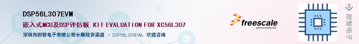 DSP56L307EVM������-�������