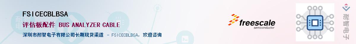 FSICECBLBSA����(y��ng)��-�������