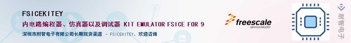 FSICEKITEY������-�������