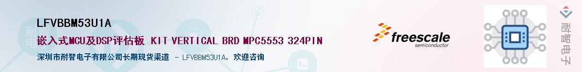 LFVBBM53U1A������-�������