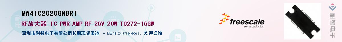 MW4IC2020GNBR1������-�������