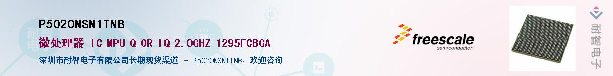 P5020NSN1TNB������-�������