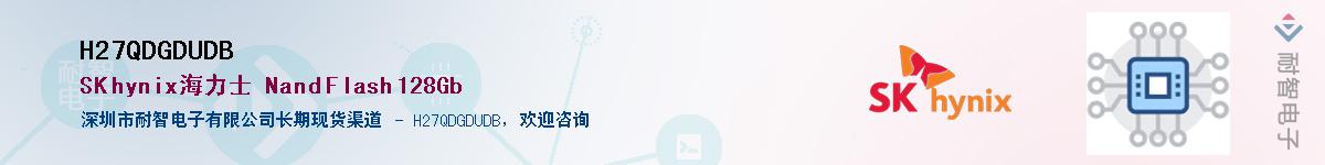 H27QDGDUDB������-�������