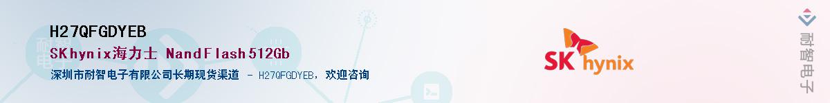 H27QFGDYEB������-�������